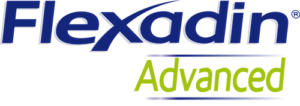 logo-flexadin-advanced