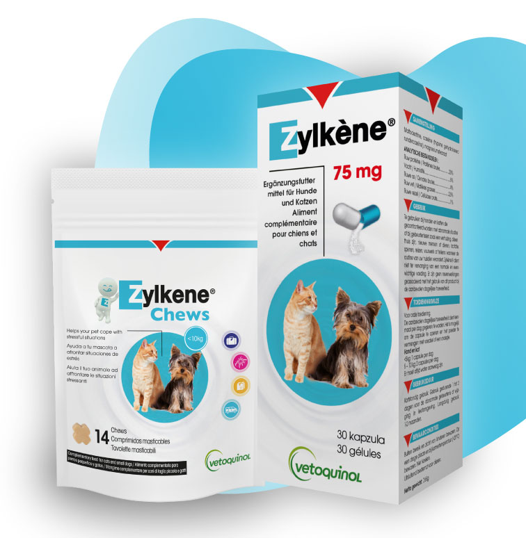 produits-zylkene-chat