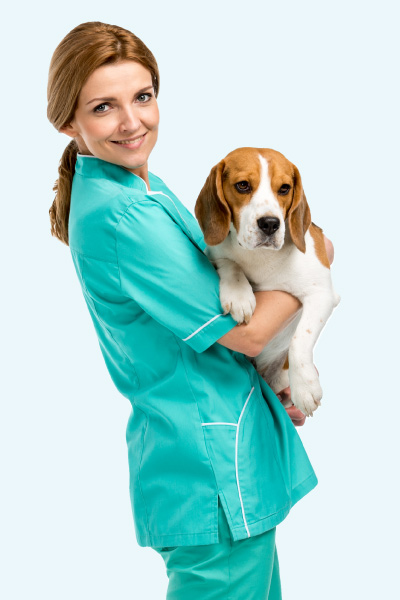 veterinaire-avis-zylkene