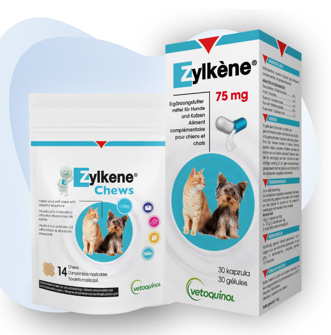 zylkene-produit-stress-chien