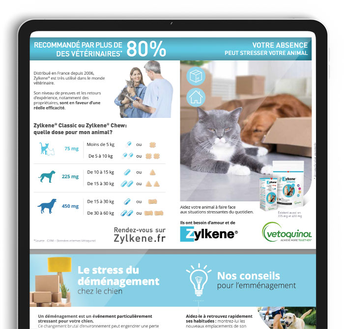 laptop-demenagement