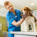 chien-peur-veterinaire