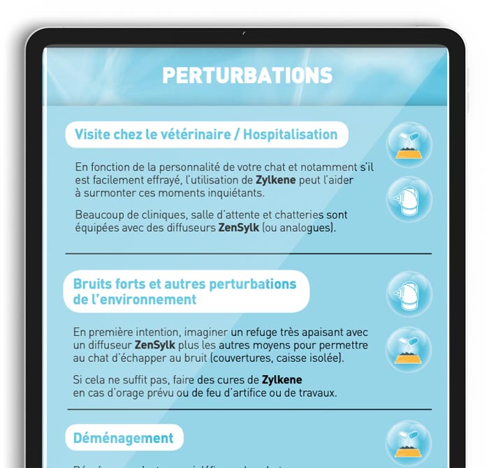 ressources-visuels-arbre