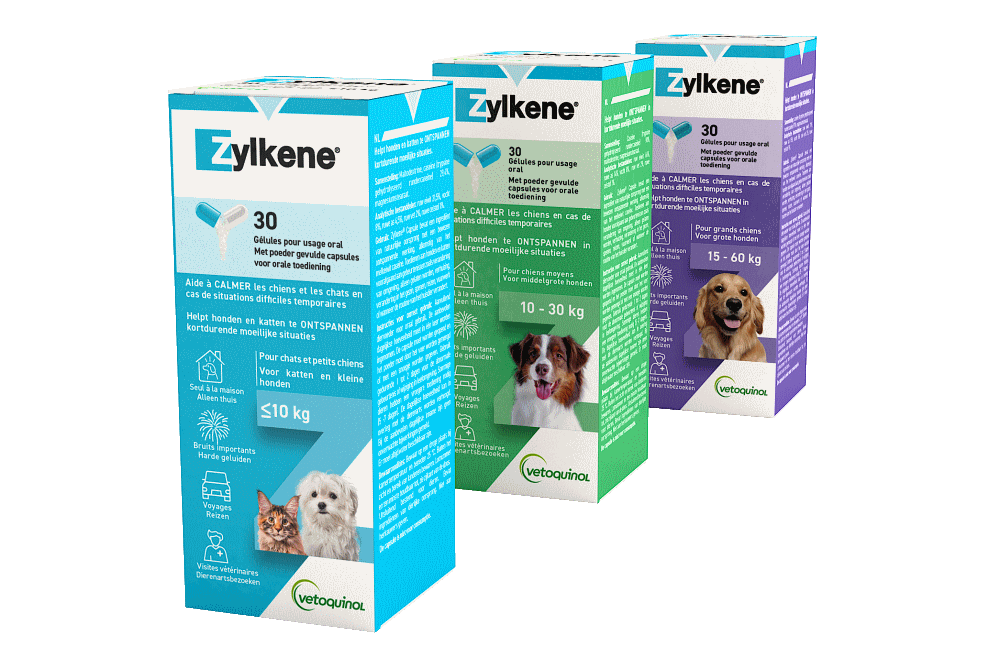 Packshot Zylkene 2023, petits chiens, chiens moyens, grands chiens