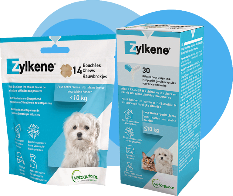 Zylkene Chews pour chien et chat