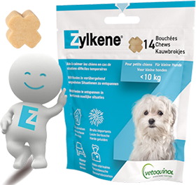 Zylkene chews packshot