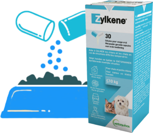 Zylkene Chat  Complément alimentaire pour le chat